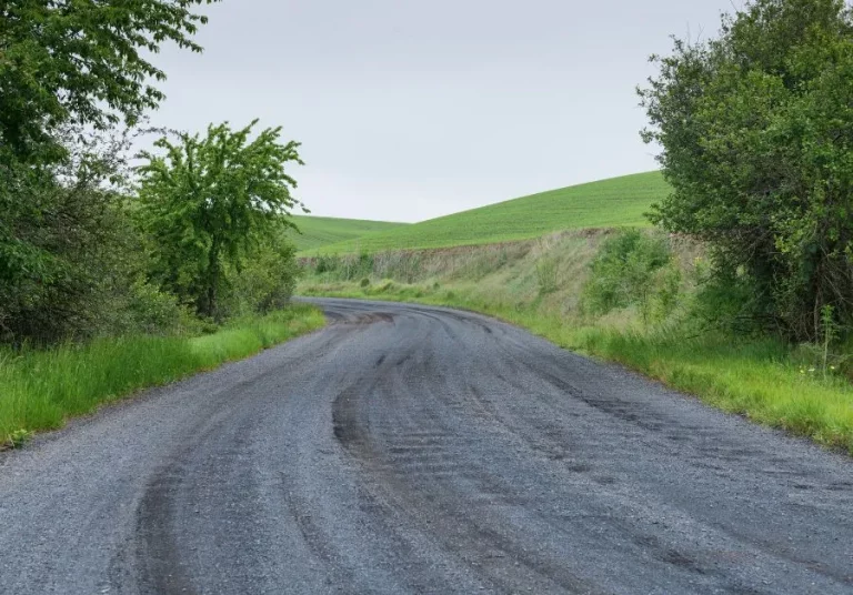 A winding gravel road with fresh tire tracks, flanked by green grass and trees, leading towards rolling green hills under an overcast sky.