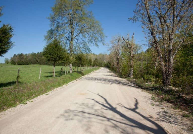 The image depicts a sunny rural scene with a gravel road flanked by green fields, trees, and a clear blue sky. Shadows of the trees are cast across the road.